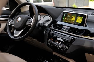 BMW X1 20i (todos los extras)