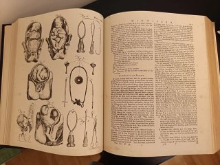 Enciclopedia Británica 1979