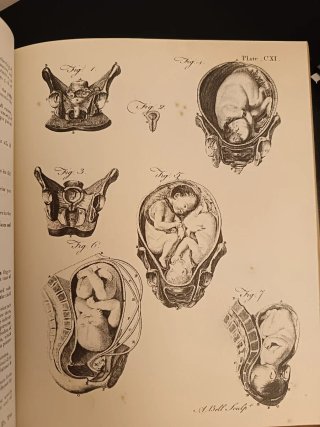 Enciclopedia Británica 1979