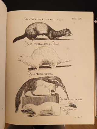 Enciclopedia Británica 1979