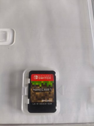 Minecraft Nintendo Switch