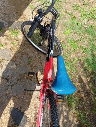 Bicicleta Monty
