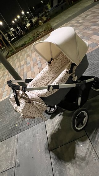 Bugaboo Fox Silla de Paseo