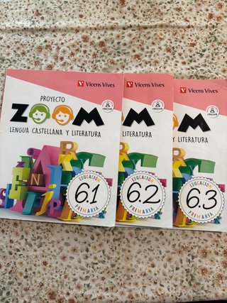 Lengua castellana y literatura, 6 Educación Pri...