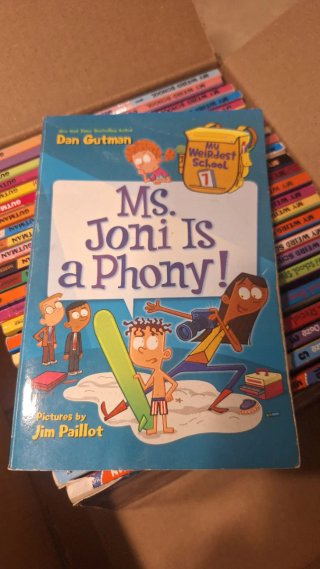 Lote libros My weird school