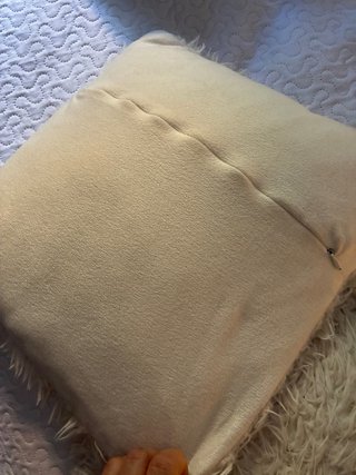 2 Cojines pelo beige 40x40