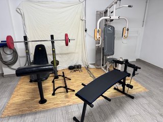 Gimnasio completo profesional