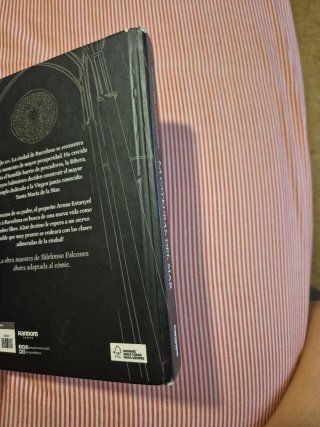 La catedral del mar: El cómic basado en el best...
