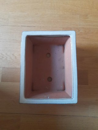 Maceta para bonsái
