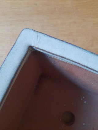 Maceta para bonsái