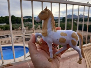 Colección Caballos Juguete