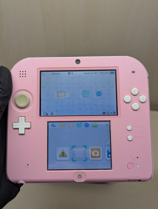 Nintendo 2DS Rosa con Custodia e Stylus