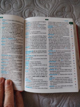 Diccionario esencial, lengua española