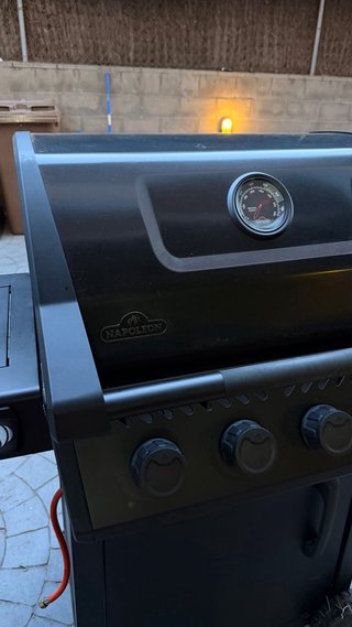 Barbacoa de gas Napoleon Negra