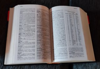Diccionario escolar de la lengua española con a...