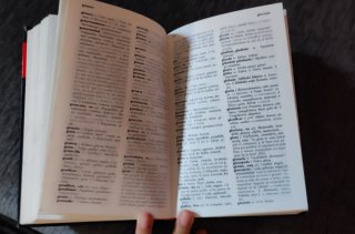 Diccionario escolar de la lengua española con a...