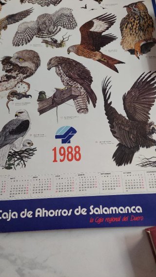 Calendario vintage Caja Salamanca 1988 Fauna CyL