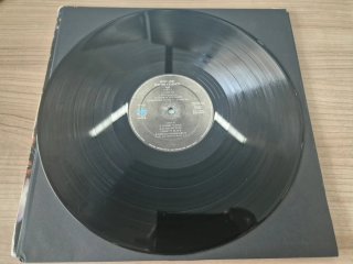 Vinilo Pont Aeri - For The Eternity