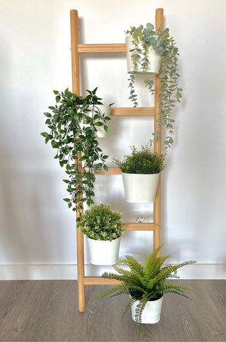 SATSUMAS Ikea: escalera decorativa y plantas