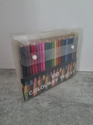 100 Lápices de Colores en Funda