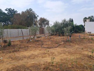 Venta de parcela