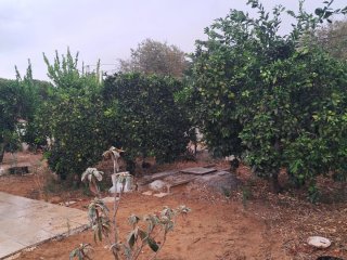Venta de parcela