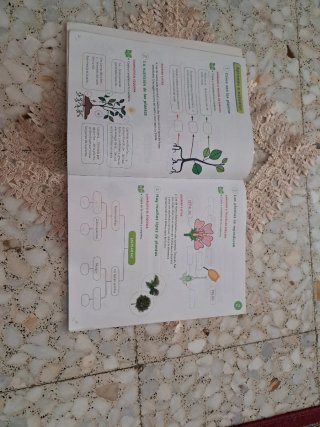 Ciencias de la naturaleza 4⁰ primaria santillana