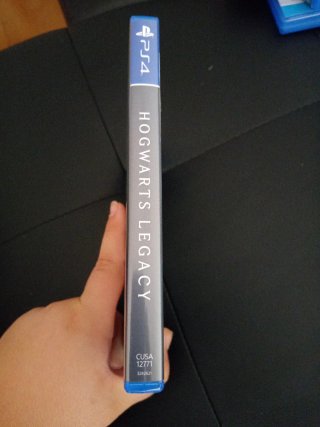 Hogwarts Legacy PS4 (PlayStation 4)