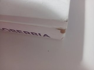 Pecados 2. Rey de la soberbia. Edición especial