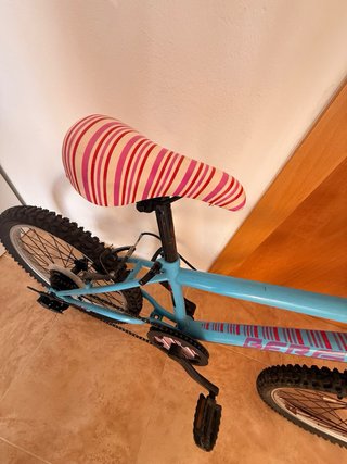 Bicicleta Infantil 20'' Azul