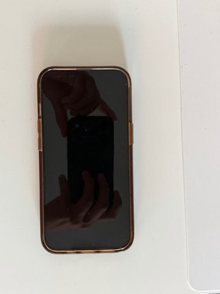 iPhone 13 Pro Argento