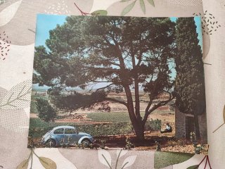 Lotto stampe vintage Volkswagen anni 60