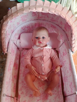 Carro de bebé y muñeca de silicona