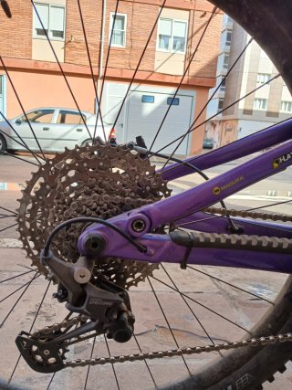 Marin Rift Zone 1 2025
