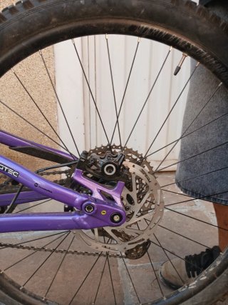 Marin Rift Zone 1 2025