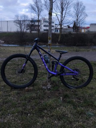 Marin Rift Zone 1 2025