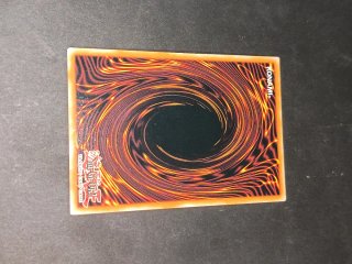 The Chaotic Sacred Beasts - Carta Yu-Gi-Oh!