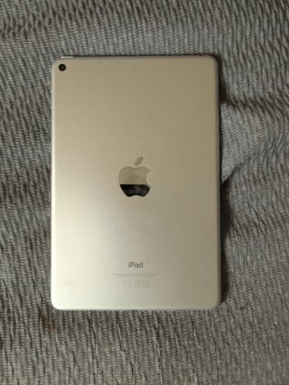 iPad mini 5 256 GB Plata