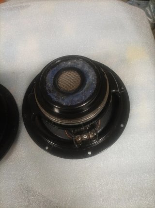 Beyma 8lw30 neodimio reconados 250w rms