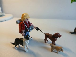 Playmobil Paseo con Perros y Castores