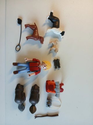 Playmobil Paseo con Perros y Castores