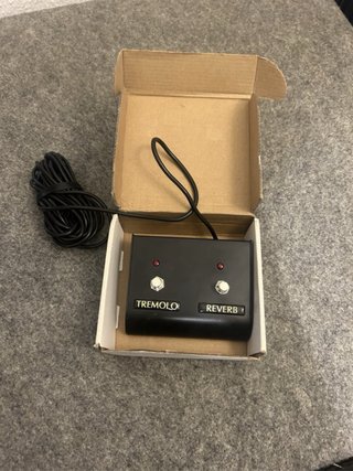 Victory V40 Deluxe Combo Amplificador