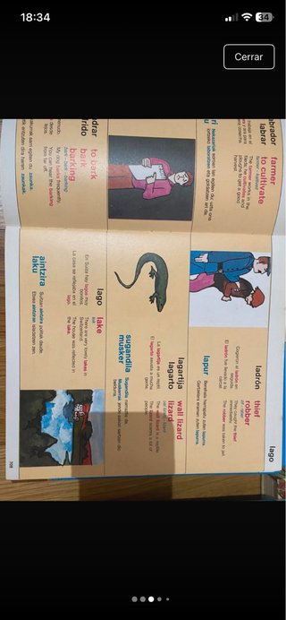 Diccionario básico ilustrado