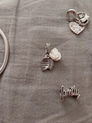 Pulsera Pandora + 4 charms