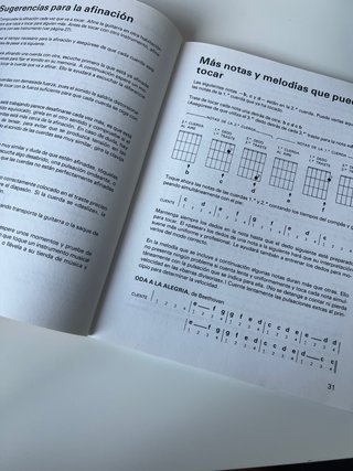 Libro Cómo Tocar La Guitarra - Roger Evans