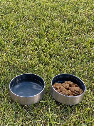 Botella térmica 3 en 1 para perro FIXY - con caja