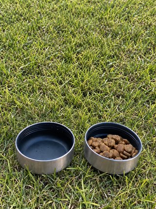 Botella térmica 3 en 1 para perro FIXY - con caja