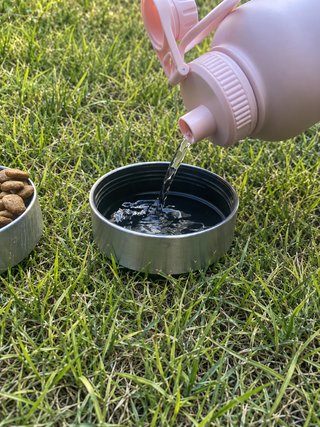 Botella térmica 3 en 1 para perro FIXY - con caja