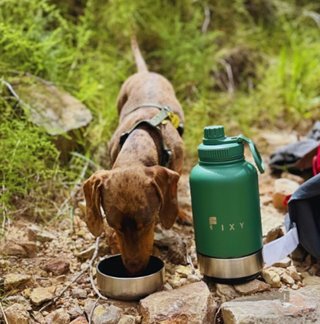 Botella térmica 3 en 1 para perro FIXY - con caja