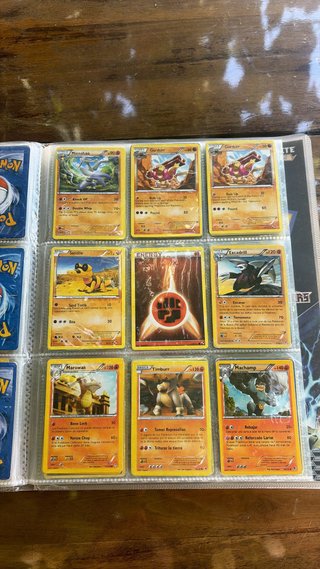 Lote de cartas Pokémon en álbum